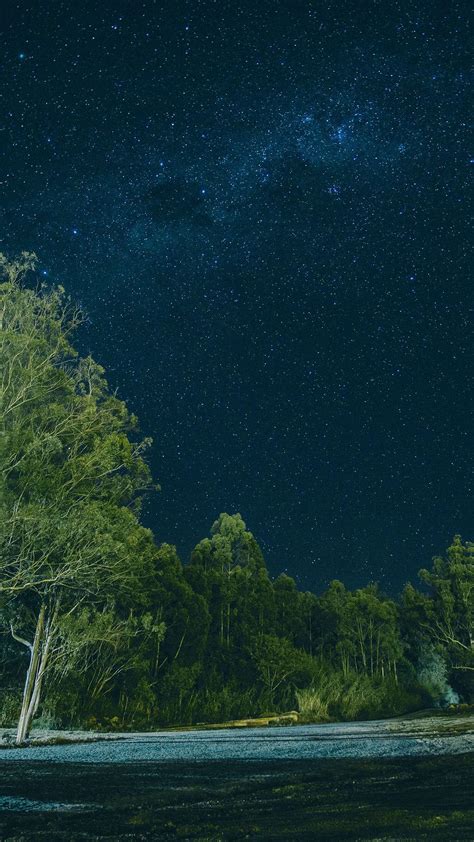 Galaxy Forest Wallpapers - Top Free Galaxy Forest Backgrounds - WallpaperAccess