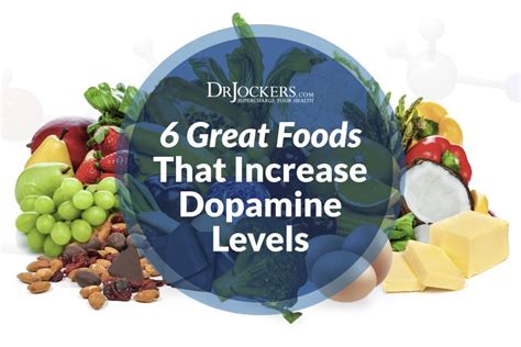 6 Great Foods that Increase Dopamine Levels | Nutrition, Nutrition help, Nutrition course