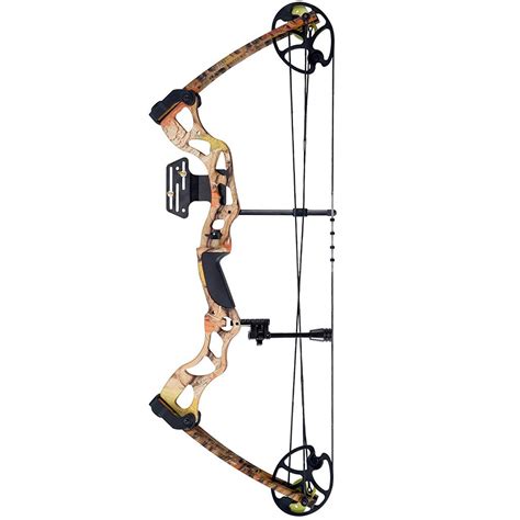 Best Compound Bow For Target Shooting | Warriors Archery