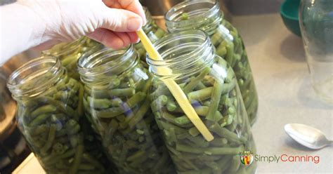 Canning Green Beans: Easy & a Perfect Start for New Canners!