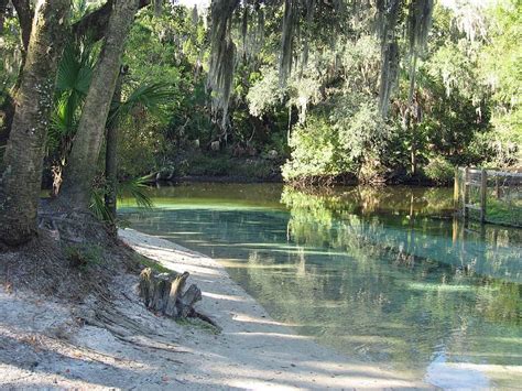 Lithia Springs: Camp at this cool, secluded park near Tampa | Lithia ...