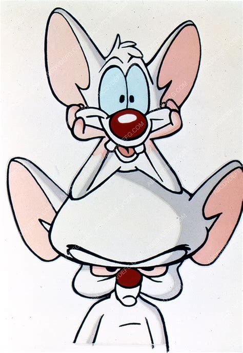 animated cartoon characters TV Pinky and the Brain 35m-6681 – ABCDVDVIDEO | Dibujo de personajes ...