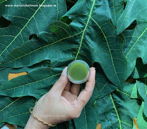 MASTERCHEFMOM: How to make Papaya Leaf Juice | Papaya Leaf Extract ...