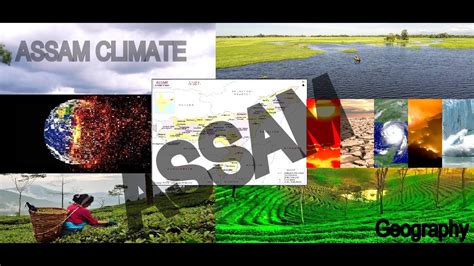 Climate of Assam #geography - YouTube