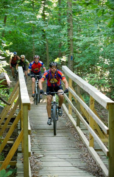 These 11 Trails In Kentucky Will Lead You To Unforgettable Places | Land between the lakes ...