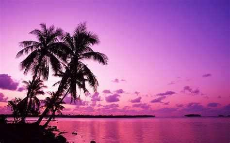 Purple Sunset Wallpaper Hd