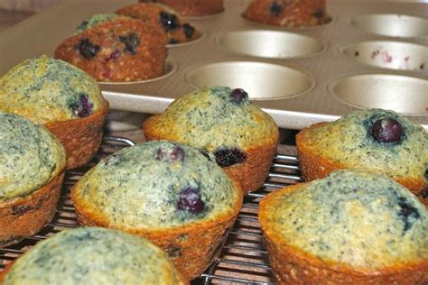 Blue Cornmeal Blueberry Muffins (Mennonite Girls Can Cook) | Blue ...