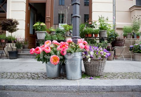 Flower Shop In Berlin Stock Photo | Royalty-Free | FreeImages