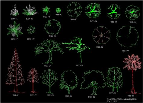 Trees In Plan And Elevation Cad Blocks | Porn Sex Picture