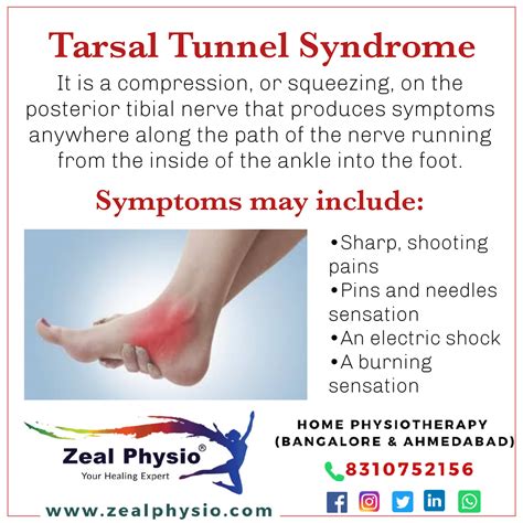 Zeal Physio - The goal of exercises for tarsal tunnel...