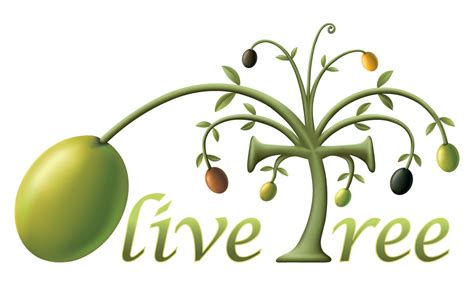 The New breed: Pakistan olive plantation intiatives | Agriculture Information Bank