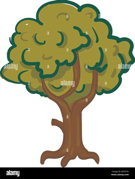 A big and shady tree, vector, color drawing or illustration Stock ...