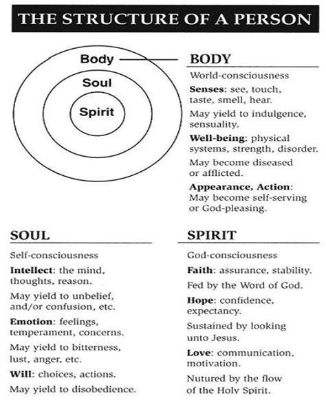 12 best images about Soul vs Spirit on Pinterest | Church, John paul jackson and The bible