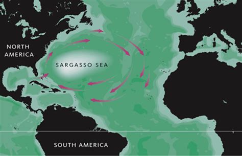 The World's Only Sea Without a Land Boundary | Atlantic ocean, Mysterious places, Ocean