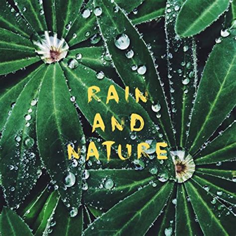 Rain And Nature by Rain Sounds Nature Collection, White! Noise and Rainfall on Amazon Music ...