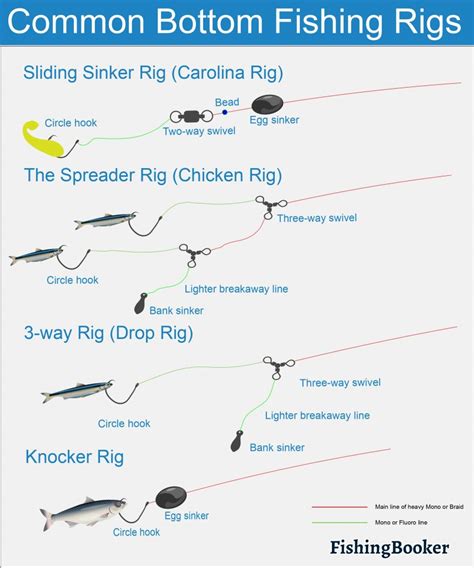 Bottom Fishing: The Complete Guide