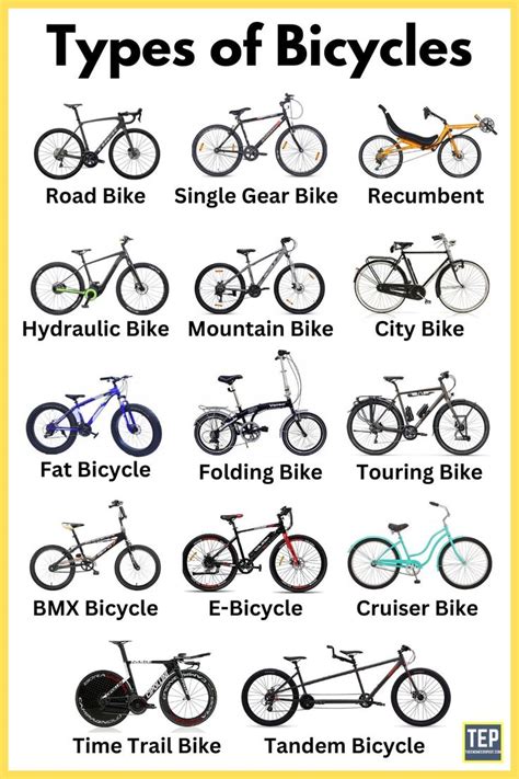 Different Types of Cycles and Their Applications [Explained] | Bicycle types, Tandem bicycle ...