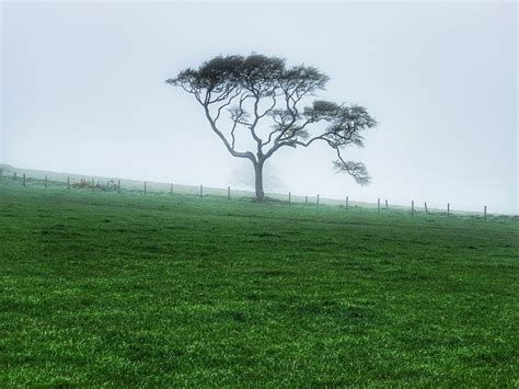 Fog near Peterhead, Aberdeenshire | Peterhead Gallery