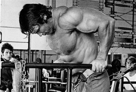 Arnold Schwarzenegger Bodybuilding, Workout Routine and Diet Plan ...