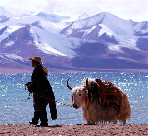 Culture and religion - Free Tibet