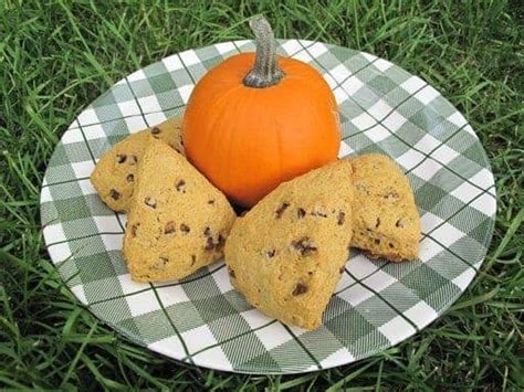 Pumpkin Spice Scones - The Kitchen Magpie