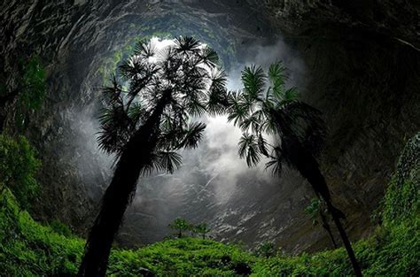 A cave exploration team has discovered an ancient forest with trees ...