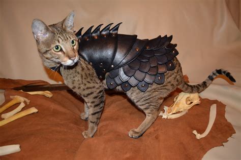 Cat Battle Armor Made From Leather | OhGizmo!