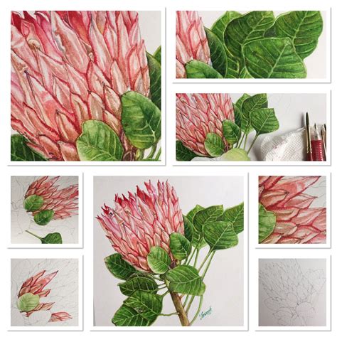 Doodlewash® - "Watercolor Botanical Painting Tutorial"