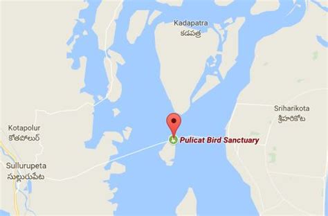 TAMILNADU SANCTUARY: Pulicat Lake Birds Sanctuary