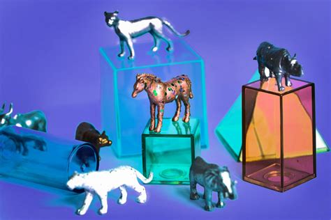 Free Images : animals, assorted, boxes, close up, collection, colorful, colors, containers ...