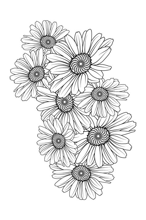 Daisy Flower Drawing Tattoo