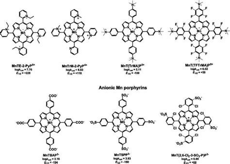 Superoxide Dismutase Structure