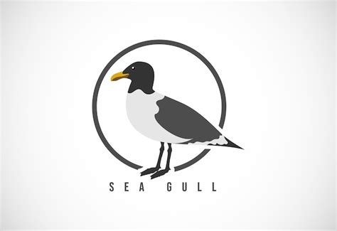 Premium Vector | Sea gull in a circle sea gull logo design template vector illustration