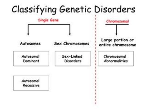 PPT - Interesting Genetic Disorders and Diseases, and Abnormalities PowerPoint Presentation - ID ...