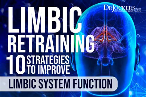 Limbic Retraining: 10 Strategies to Improve Limbic System Function