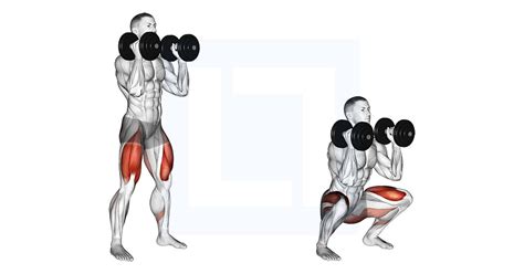 Dumbbell Front Squat - Guide, Benefits, and Form