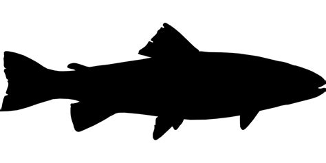 Free Image on Pixabay - Fish, Black, Fishing, Silhouette | Silhouette de poisson, Dessin poisson ...