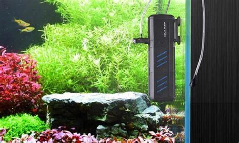 Setting Up A Fish Tank Filter | How To Install? | Fishio.net