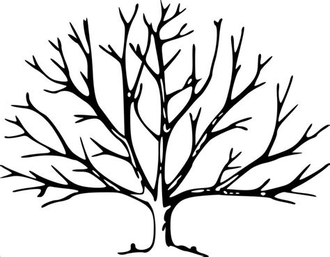 Bare Tree Outline Printable