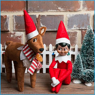 Cute Ideas for Scout Elves and Elf Pets® Reindeer | The Elf on the Shelf