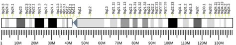 Chromosome 9 open reading frame 116 - Wikipedia