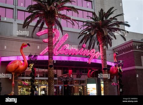 Las vegas flamingo hotel casino - ndestory