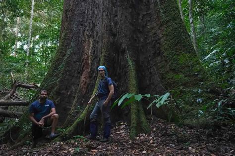 Ultimate Guide to Tawau Hills Park in Sabah - Monkey Rock World