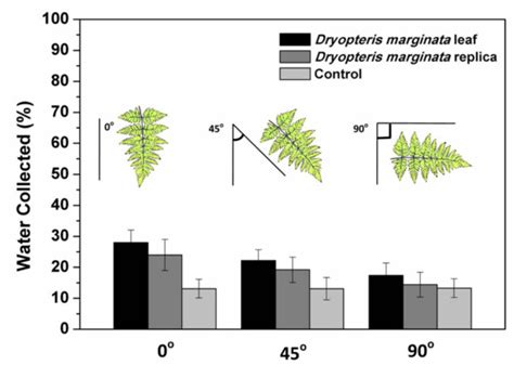 Biomimetics | Special Issue : Bioinspired Microfluidics