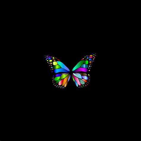 Colourful Butterfly Backgrounds