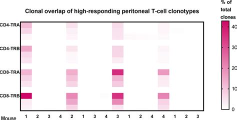 Frontiers | Anti-tumor memory CD4 and CD8 T-cells quantified by bulk T ...