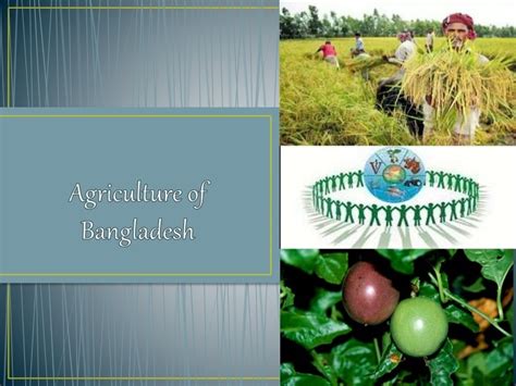 Agriculture of Bangladesh