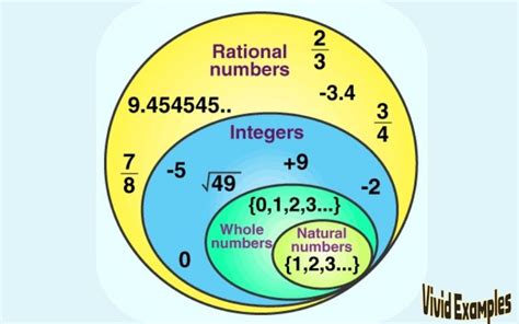 50 Examples of Rational Numbers - Vivid Examples