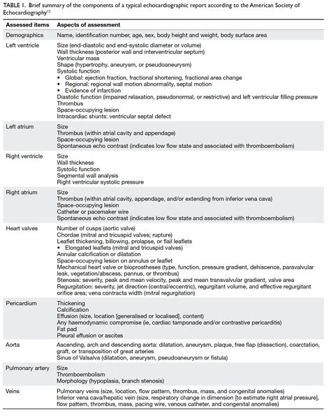 Echocardiogram Report