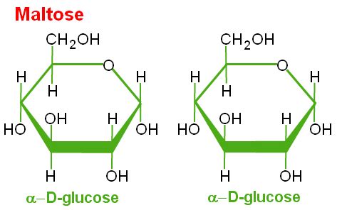 Properties Of Disaccharides | A-Level Biology Revision Notes